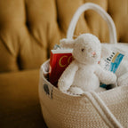 Roped Diaper Caddy